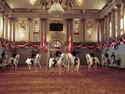 things to do in vienna spanish riding school